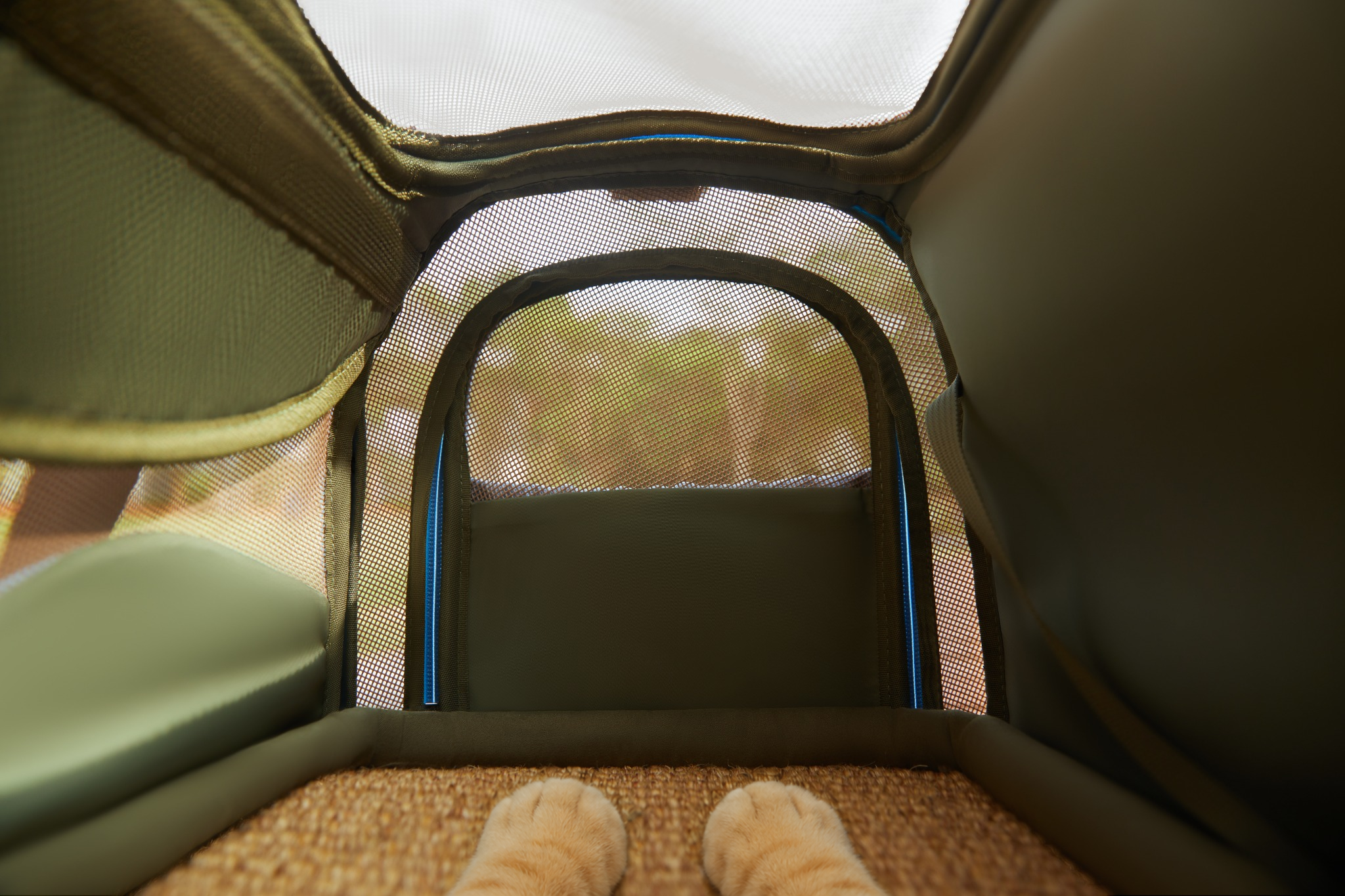 View from inside the Wander Meow carrier with two relaxed cat paws resting on the sisal mat beneath the mesh panels.