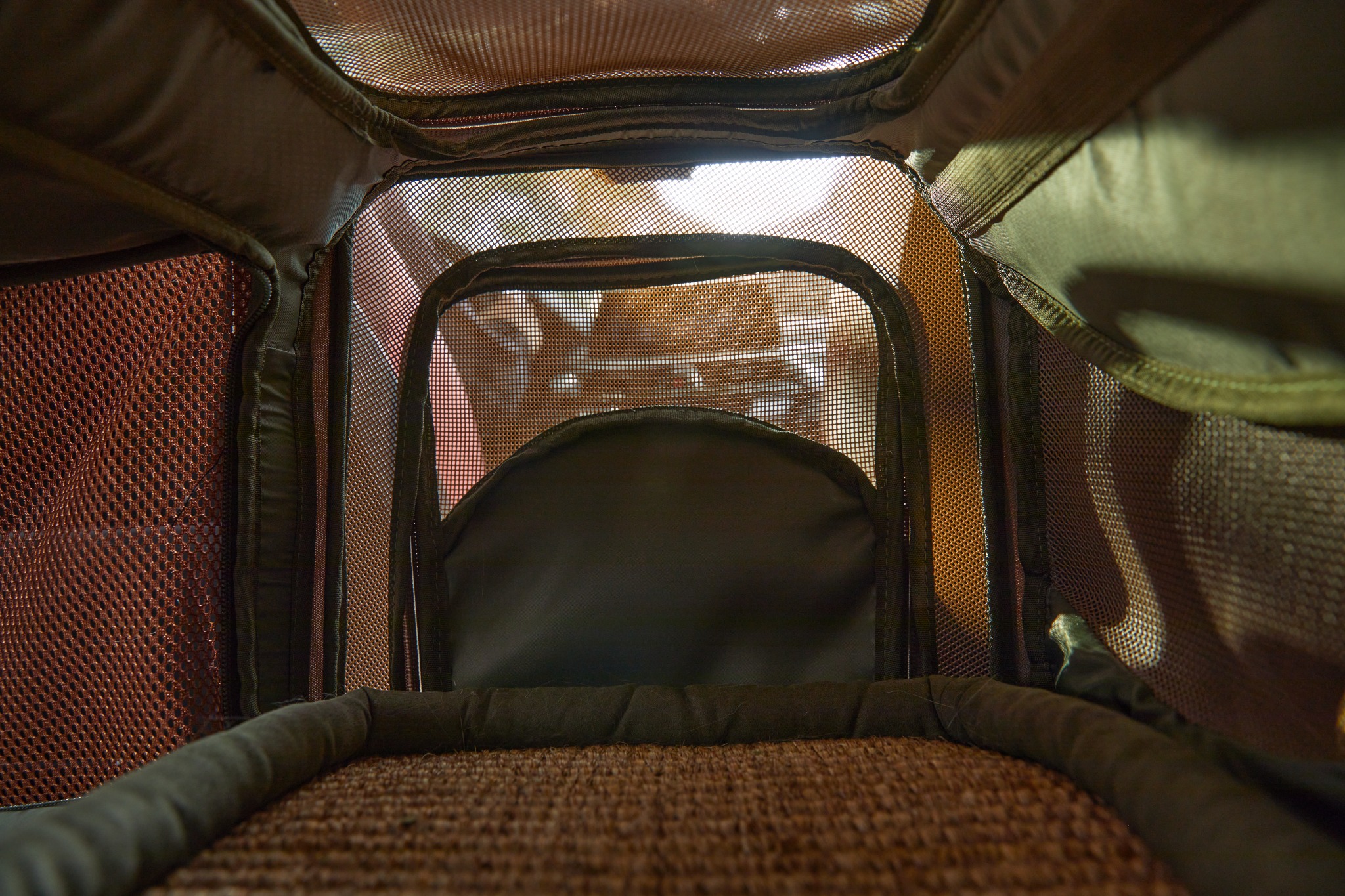 Cat-eye view from inside the Wander Meow carrier through its mesh panels.