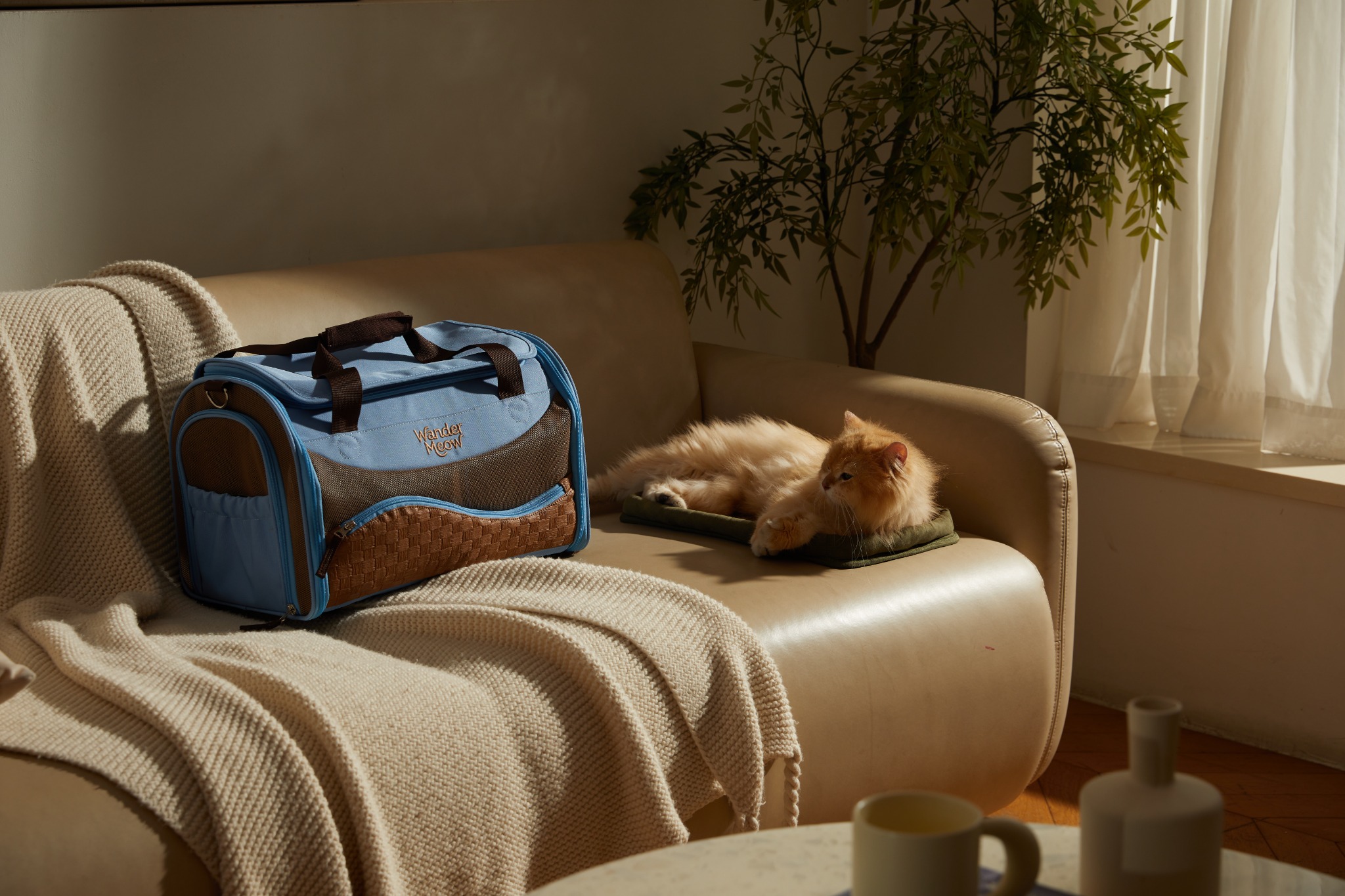 Blue Wander Meow soft-sided carrier beside an orange cat resting on its sisal mat in a sunlit living room.