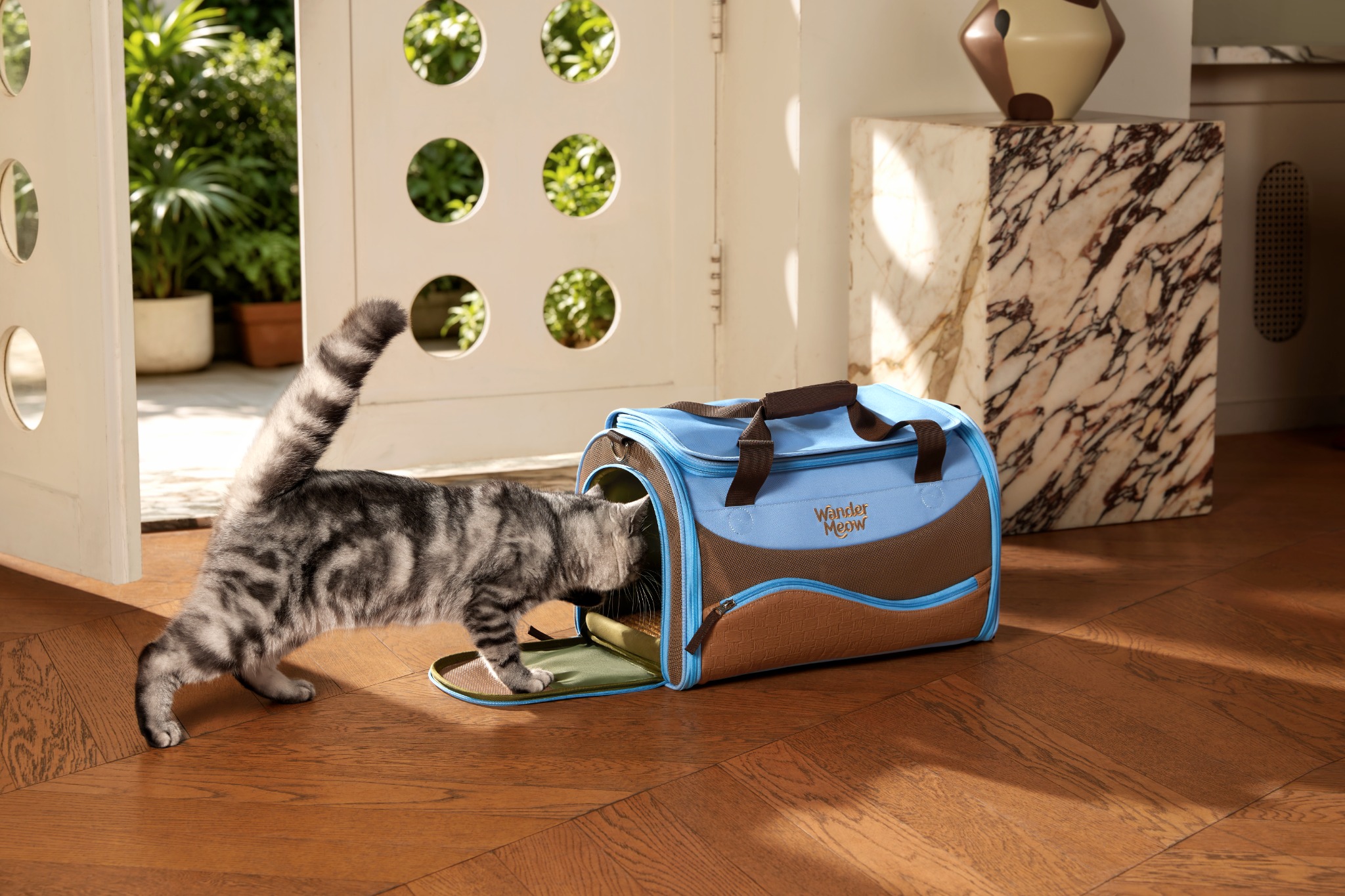 Silver tabby voluntarily sniffing through the open side entry of the blue Wander Meow carrier.