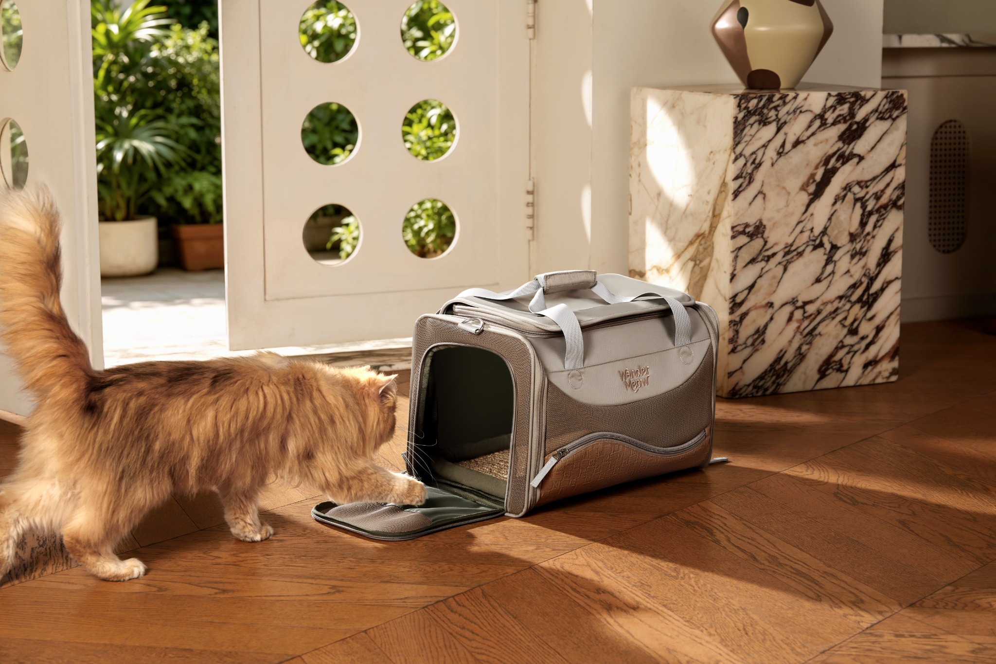 Full view of an orange cat approaching the open side doorway of the gray Wander Meow carrier in a sunlit room.