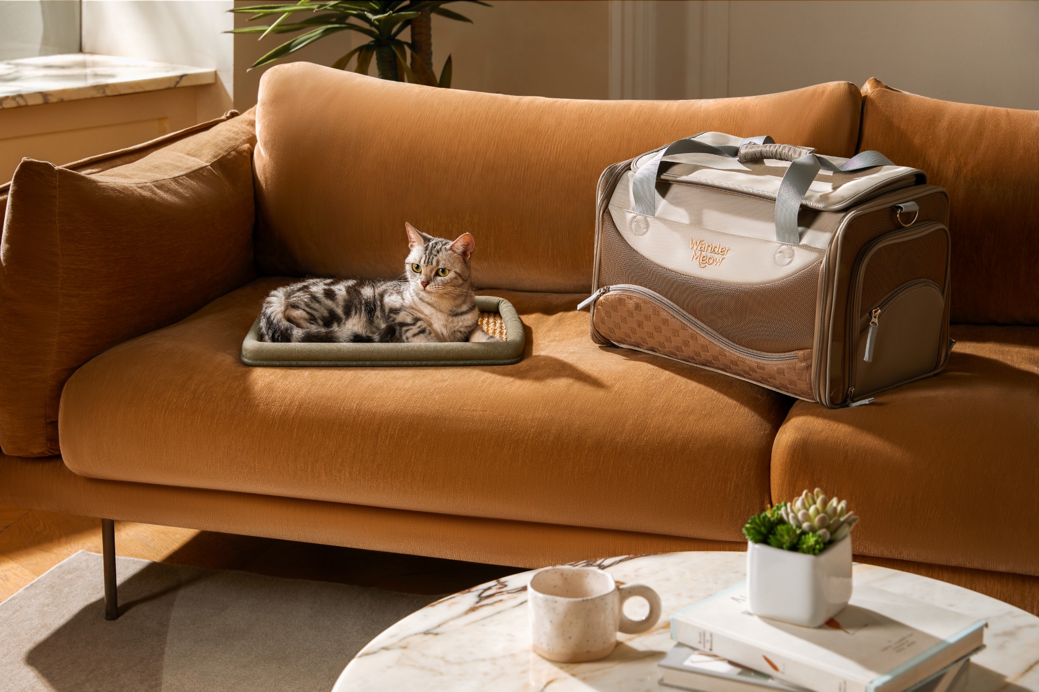 Gray Wander Meow expandable soft-sided carrier beside a silver tabby resting on a sisal mat on a sunlit sofa.
