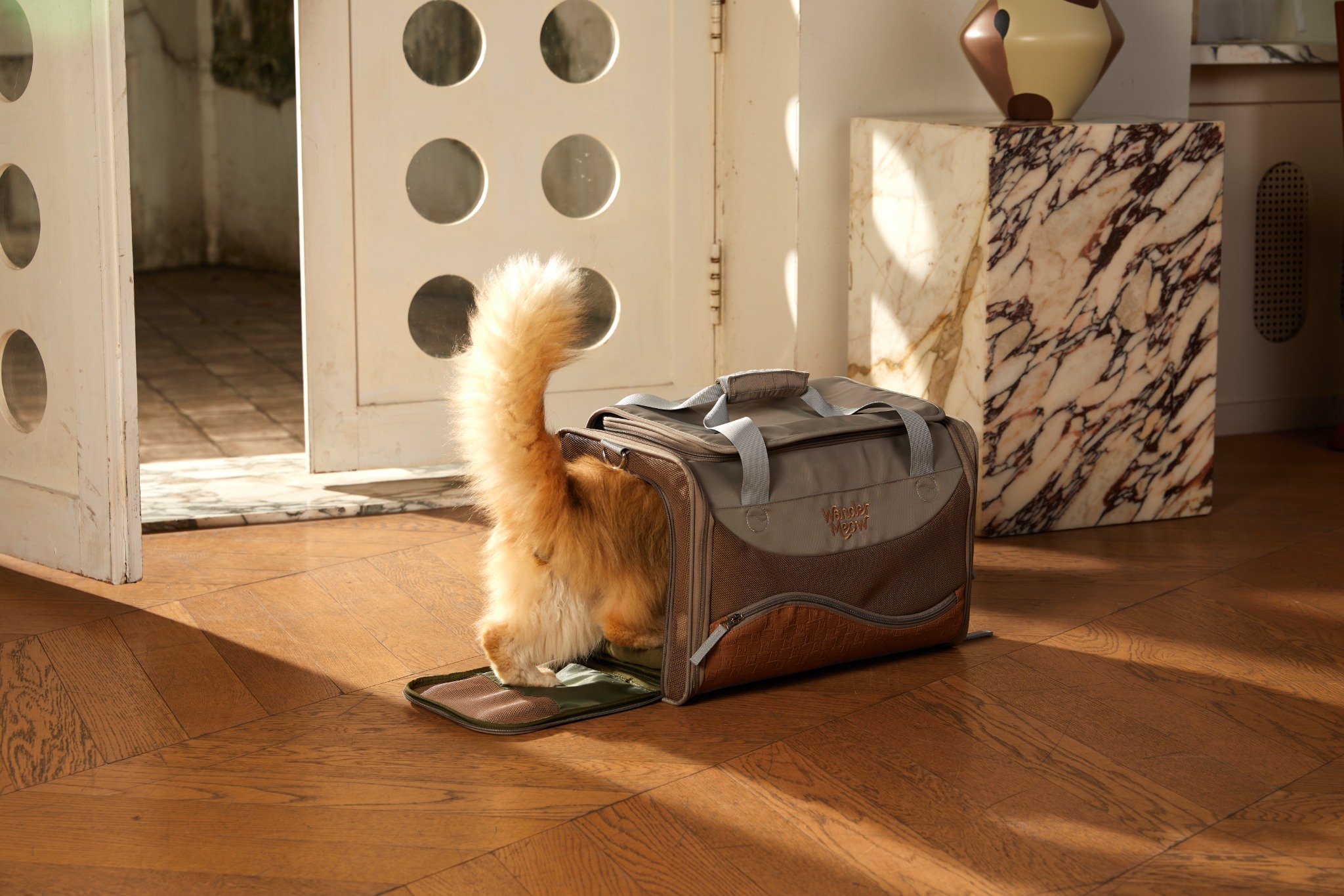 Orange cat voluntarily stepping through the open side entry of the gray Wander Meow carrier at home.