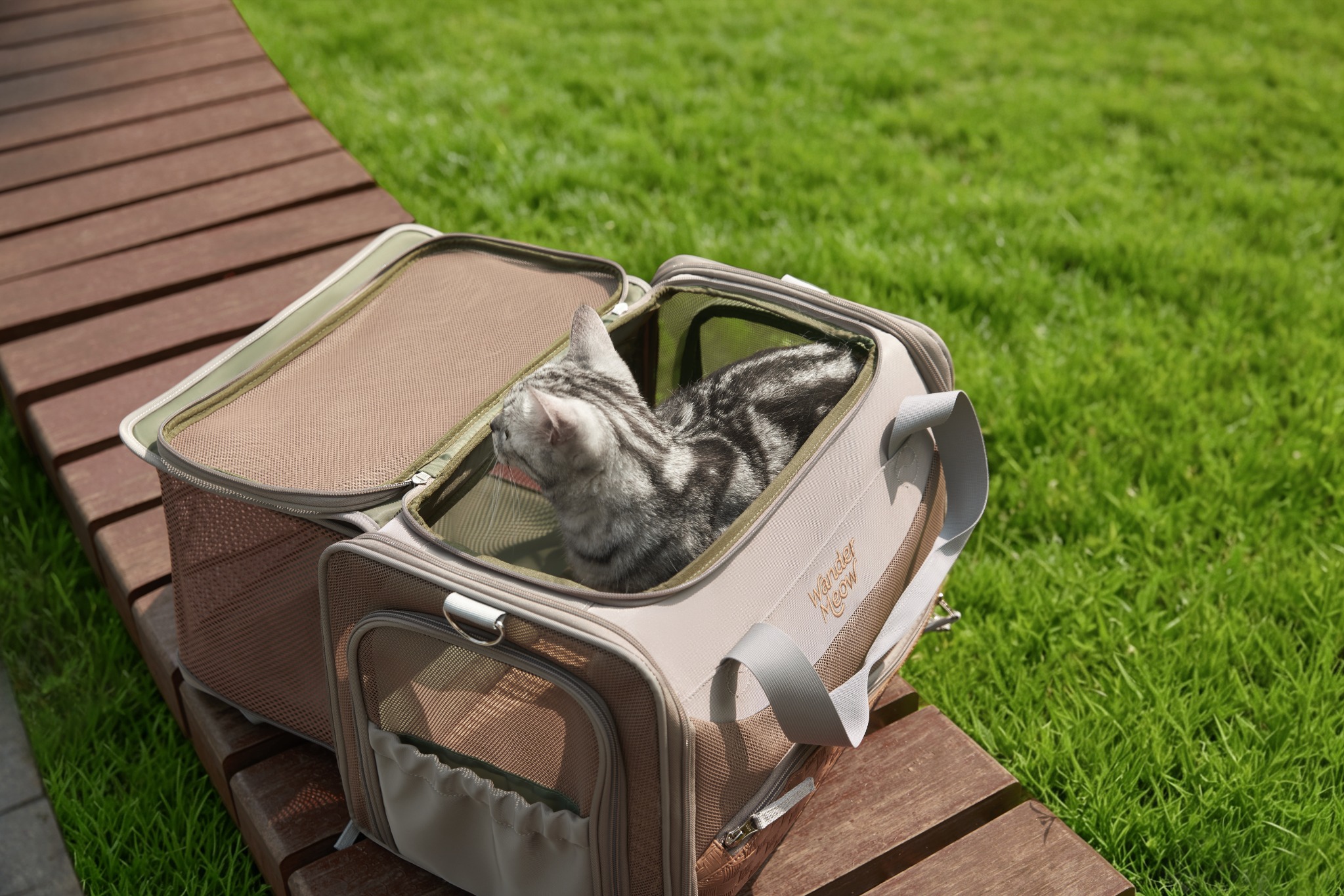 Silver tabby sitting inside the open top of the gray Wander Meow carrier on an outdoor bench.