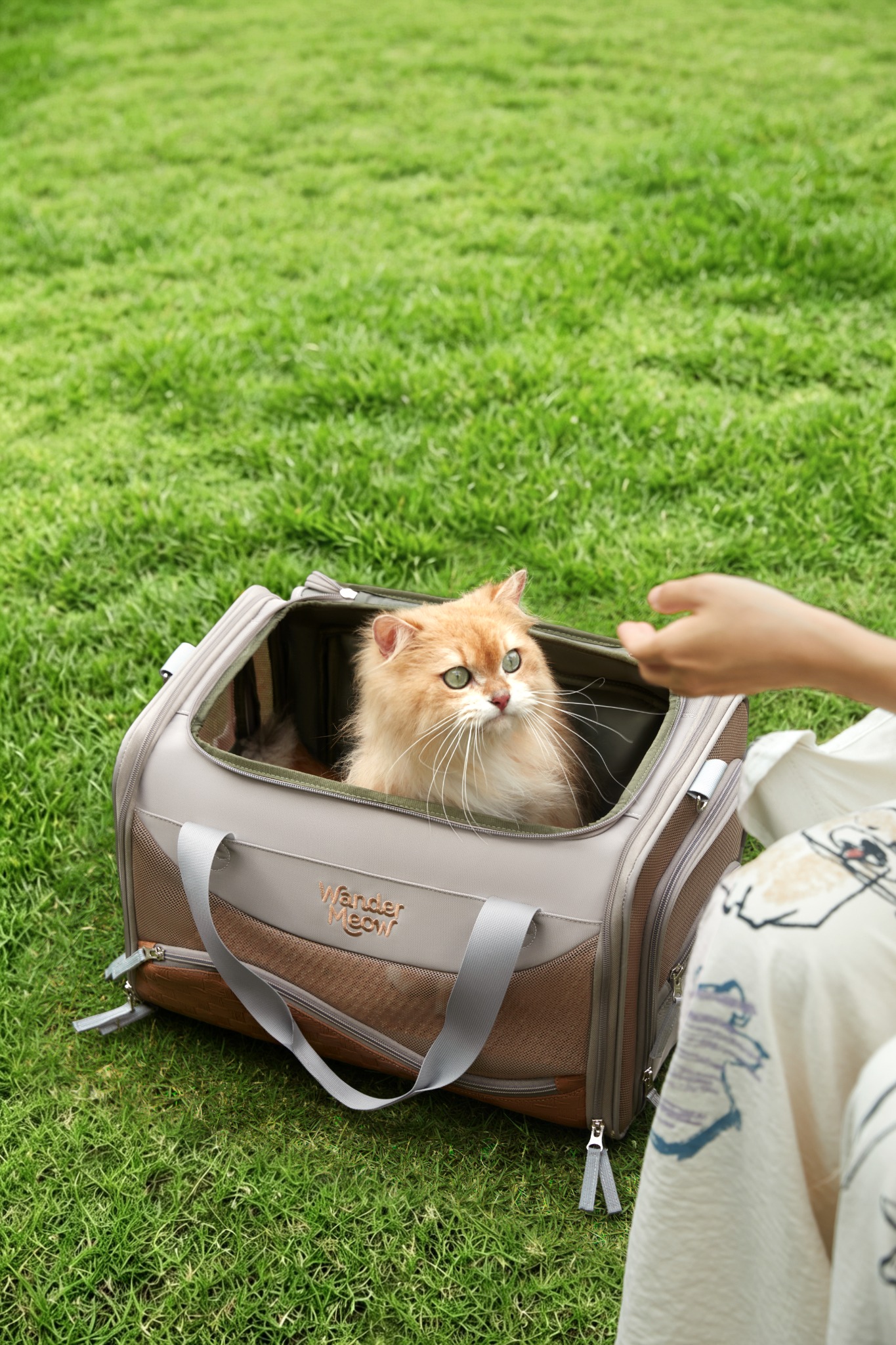 Orange cat sitting inside the open top of the gray Wander Meow carrier on grass beside a person.