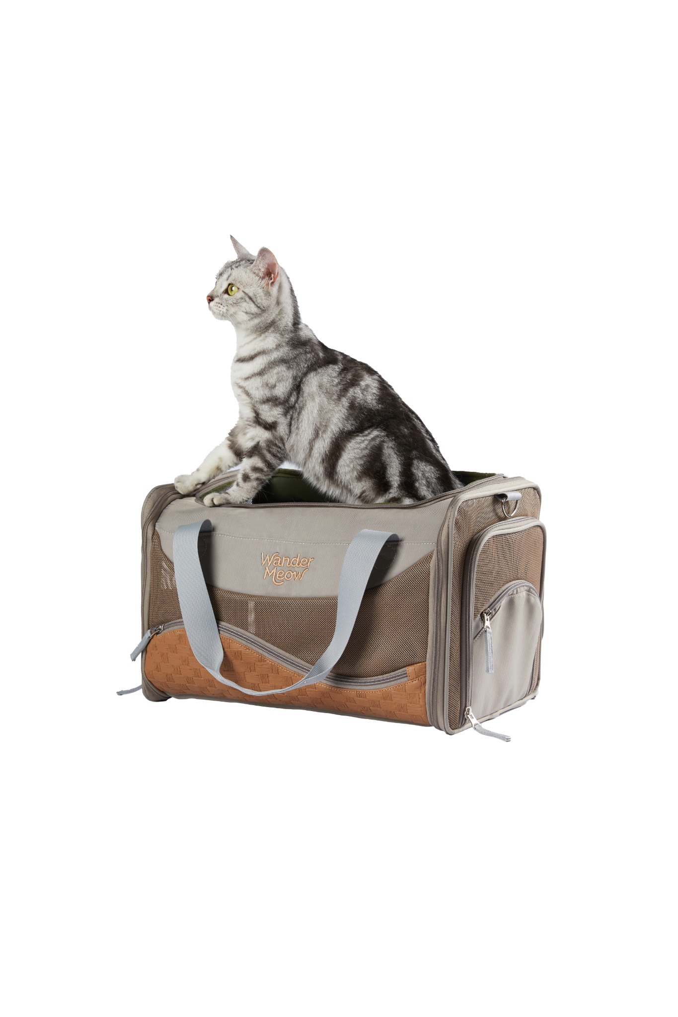 Silver tabby sitting inside the open top of the gray Wander Meow carrier against a white studio background.